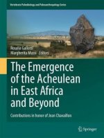 Emergence of the Acheulean in East Africa and Beyond