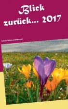 Blick zuruck ... 2017