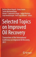 Selected Topics on Improved Oil Recovery