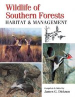 Wildlife of Southern Forests