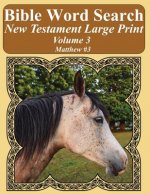 Bible Word Search New Testament Large Print Volume 3: Matthew #3