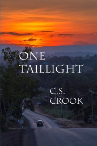 One Taillight