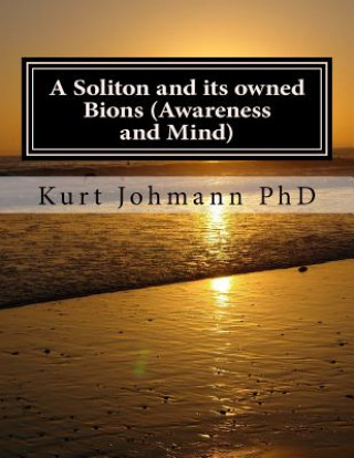 A Soliton and its owned Bions (Awareness and Mind): These Intelligent Particles are how we Survive Death