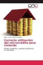 Correcta utilizacion del microcredito para vivienda