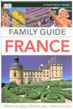 DK Eyewitness Family Guide France
