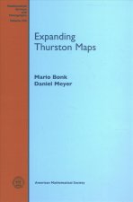 Expanding Thurston Maps