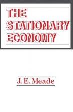 Stationary Economy