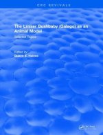 Lesser Bushbaby (Galago) as an Animal Model: Selected Topics