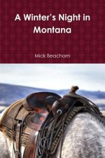 Winter's Night in Montana