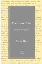 Glass Cube