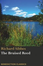 Bruised Reed and Smoking Flax