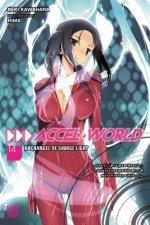 Accel World, Vol. 14 (light novel)