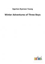 Winter Adventures of Three Boys