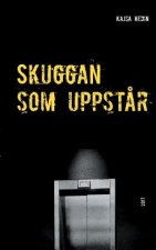Skuggan som uppstar