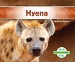 Hyena