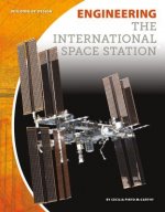 Engineering the International