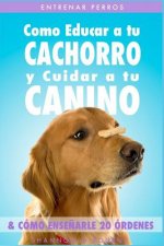 Entrenar Perros