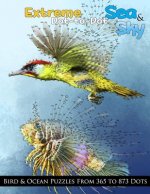 Extreme Dot-to-Dot Sea & Sky Bird & Ocean Puzzles from 365 to 873 Dots