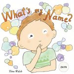 What's my name? ZAYN