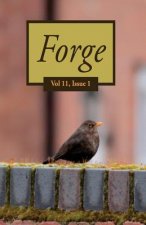 Forge 11.1