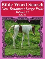 Bible Word Search New Testament Large Print Volume 23: John #5
