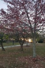Let's Take a Walk