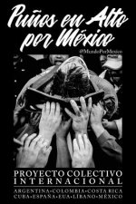 Pu?os en Alto por México: Proyecto Colectivo Internacional