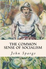 The Common Sense of Socialism