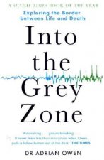 Into the Grey Zone