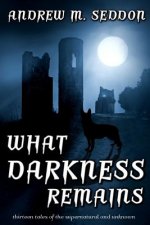 What Darkness Remains: Thirteen Tales of the Supernatural and Unknown