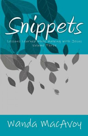 Snippets: Lessons Learned While Walking with Jesus