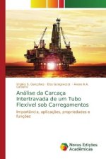 Analise da Carcaca Intertravada de um Tubo Flexivel sob Carregamentos