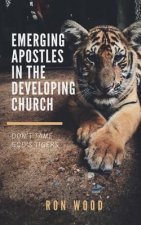Emerging Apostles in the Developing Church