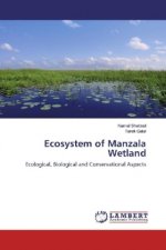 Ecosystem of Manzala Wetland