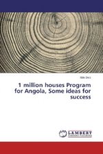 1 million houses Program for Angola, Some ideas for success