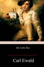 My Little Boy
