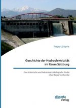 Geschichte der Hydroelektrizitat im Raum Salzburg. Eine historische und industriearchaologische Studie alter Wasserkraftwerke