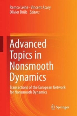 Advanced Topics in Nonsmooth Dynamics