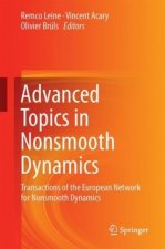 Advanced Topics in Nonsmooth Dynamics
