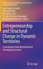 Entrepreneurship and Structural Change in Dynamic Territories