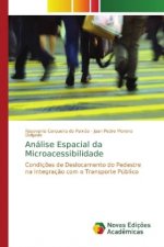 Analise Espacial da Microacessibilidade