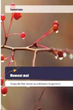 Moment mal