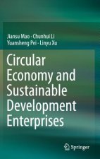 Circular Economy and Sustainable Development Enterprises