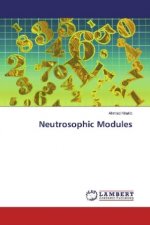 Neutrosophic Modules