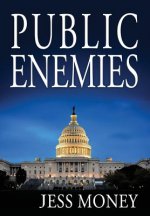 Public Enemies