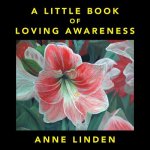 Little Book of Loving Awareness