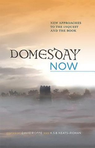 Domesday Now