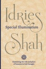 Special Illumination