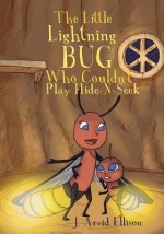 Little Lightning Bug Who Couldn't Play Hide-N-Seek
