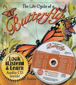 Life Cycle of a Butterfly